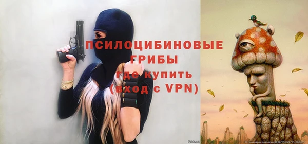 гидра Аркадак
