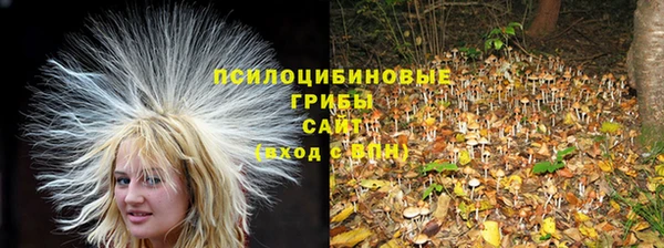 гидра Аркадак