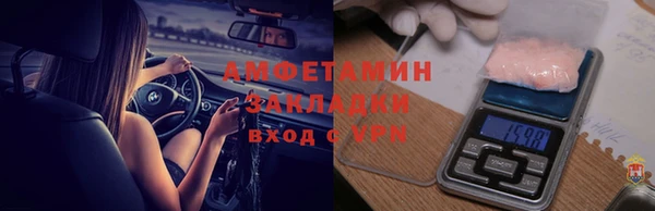 гидра Аркадак