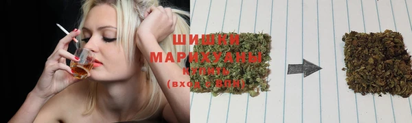 эйфоретик Арсеньев