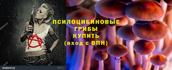 эйфоретик Арсеньев